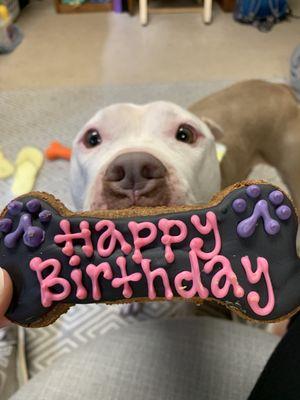 birthday cookie