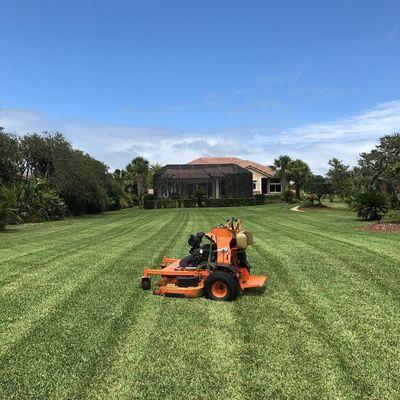 Lawn maintenance