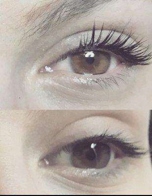 Lash lift with tint  Lash Bomb