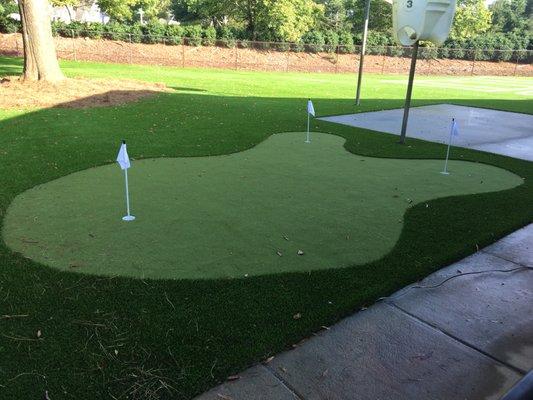 Backyard Putting Green