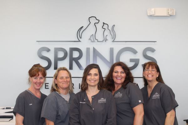 Springs Veterinary Care