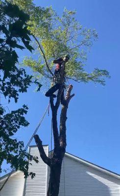 No job we cant get to. We climb trees