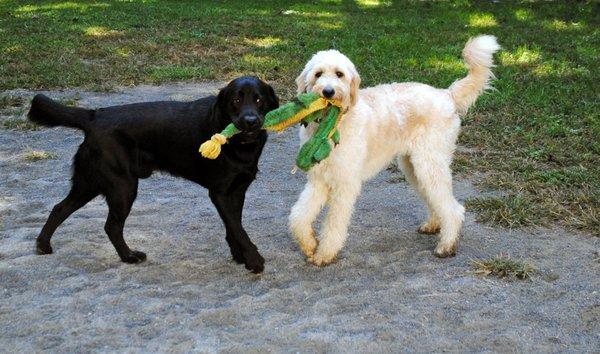 Tug O' War