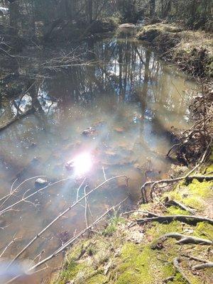 First river when walking into the park.