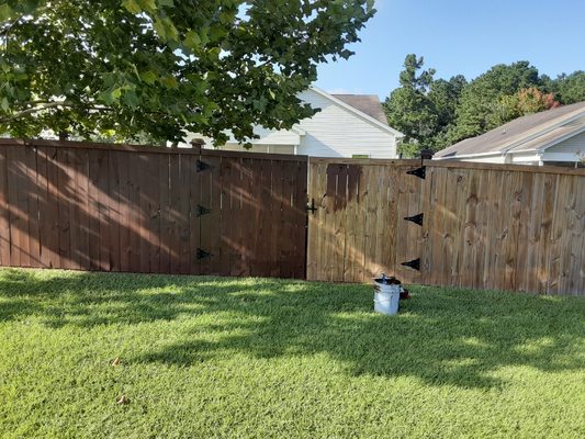 Custom fence staining. Brushed and rolled, no spray gun.