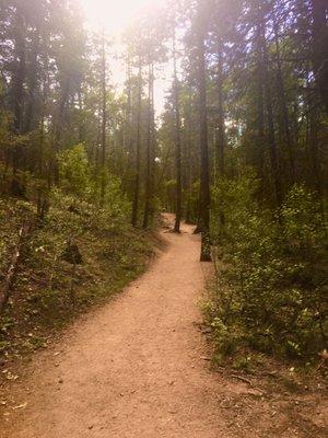 Nice wide part of trail near parking