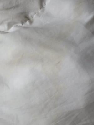 Stains on the supposed "clean" sheets.