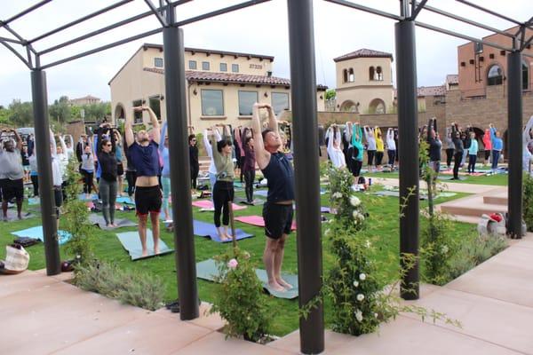 Temecula Yoga In the Vines