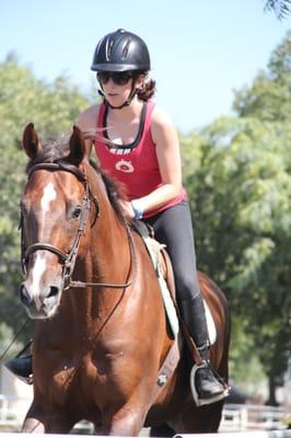 Andy - the horse ;) - at Sagebrook Farms.