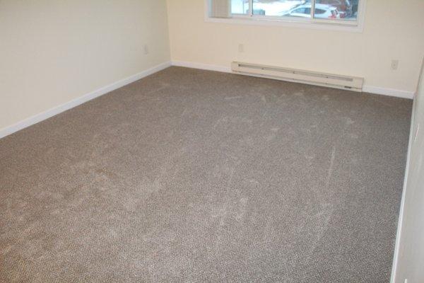 Great carpet and padding install