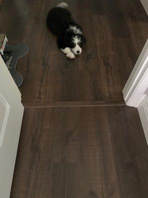 Transition from old to new floor.