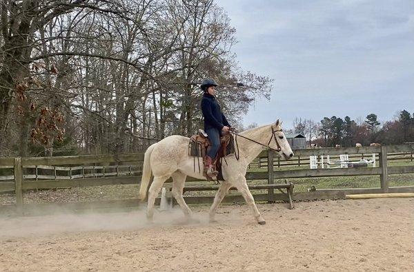 New Beginnings Farm student riding lesson horse Paco.