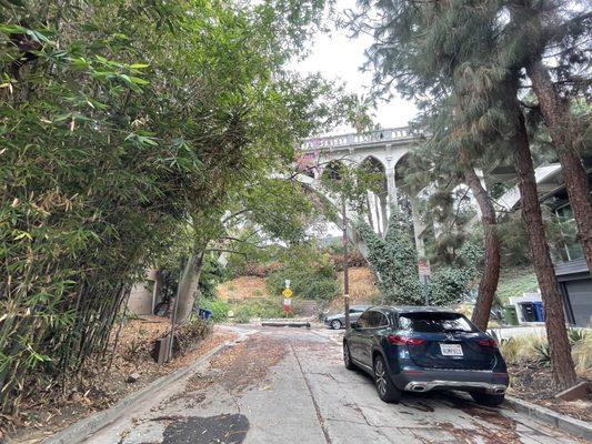 View towards Shakespeare's Garden under Shakespeare's Bridge on Monon St which ends at the garden