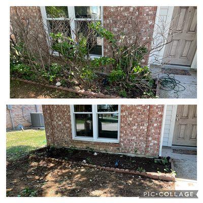 Want to get rid of those dead bushes & give that home a new look? Well give us a call today at 214-970-4669 or martaviuscorbin.mc@gmail.com