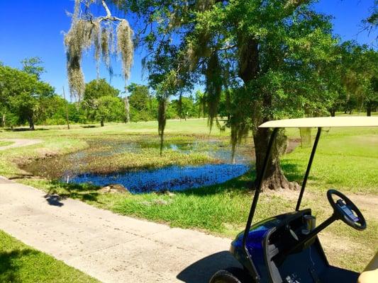 Golfing in the bayou