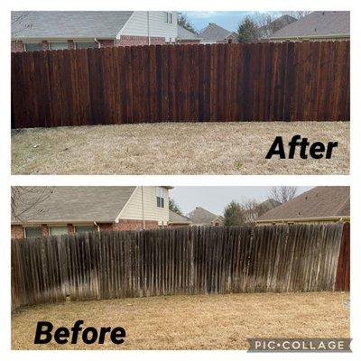 Before and after fence replacement and stain.