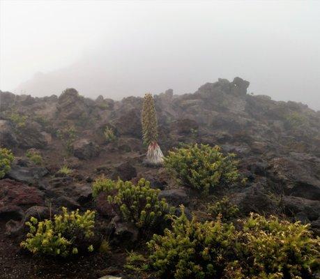 Haleakala hikes