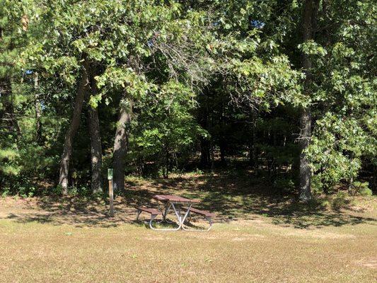 Site with woods in back and open field in front