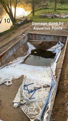 Aquarius Pools by Theresa