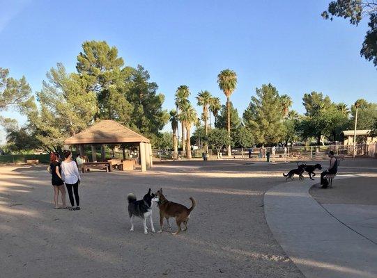 Morning dog park view on regular dog side