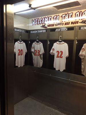 Elevator wrap at The Diamond for Richmond Flying Squirrels.