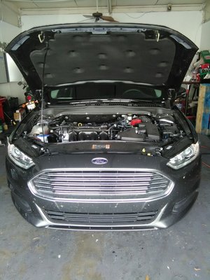 2016 Fusion in for Maintenance work