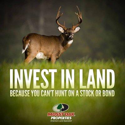 Invest in Land