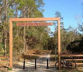 Lovely Nocatee Preserve!