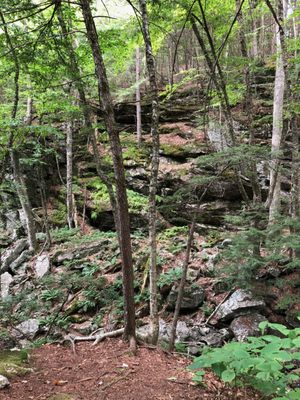 Purgatory Brook and Falls