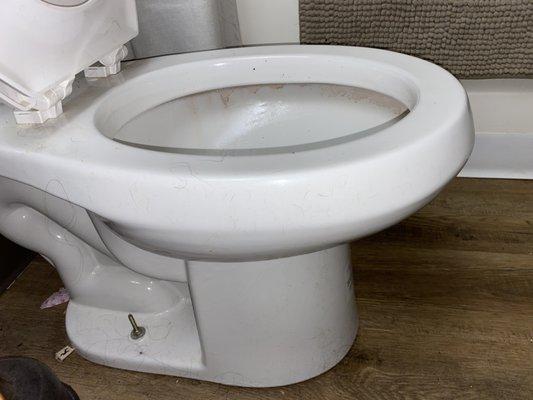 Before picture of a used toilet from a busy business woman! Support your women owned businesses so we can pay someone to clean our toilets!