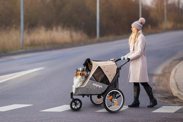 The pet bike trailer and stroller