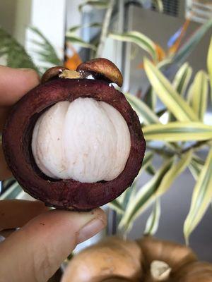 Hawaiian Mangosteen!