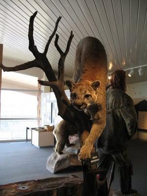 Red Canyon Visitor Center