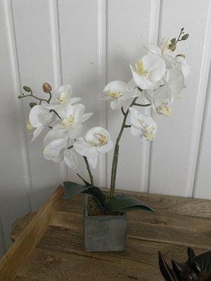 Love this gorgeous faux orchid I found at Monica's!