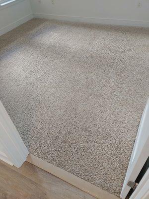 Carpet cleaning