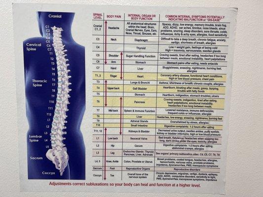 Spinal adjustment poster at Kosker Chiropractic Toluca Lake