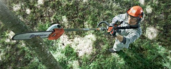 Trim Those Hazardous or Unsightly Branches