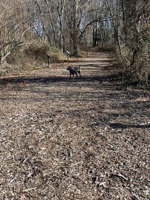 Eisenhower Park