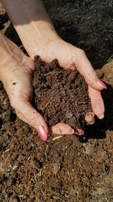 Our homemade certified organic fertilizer, mulch & potting mix all in one.