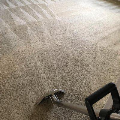 Carpet Cleaning