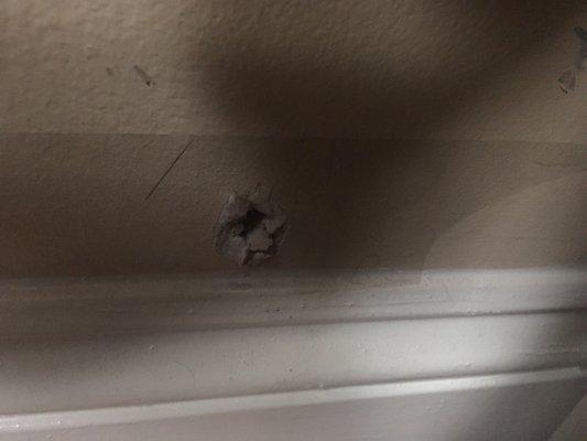 Mice chewed a hole through the wall.