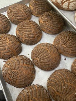 Conchas Regulares con Pasta de Chocolate