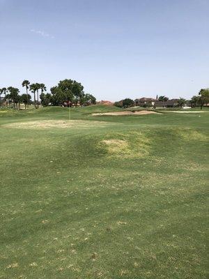 When the greens are in such bad condition it's better to just spray paint a circle in the middle of the fairway and stick a pin in it.