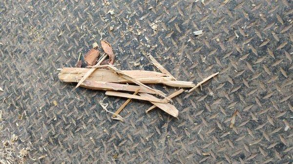 "Bed of Nails."  It's a good thing I found them before the horse was stabbed.