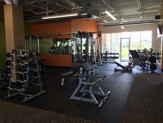 Anytime Fitness