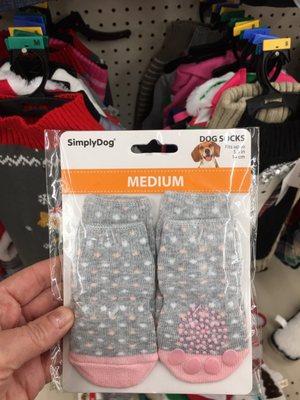 Dog socks, a fun and cute way to piss off your furry friend