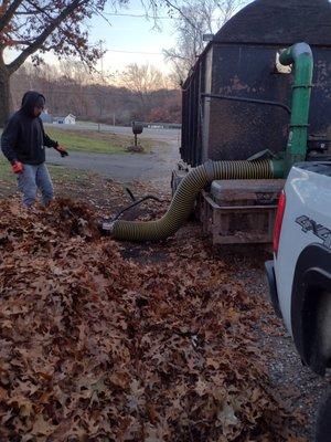 Curbside Leaf Pickup