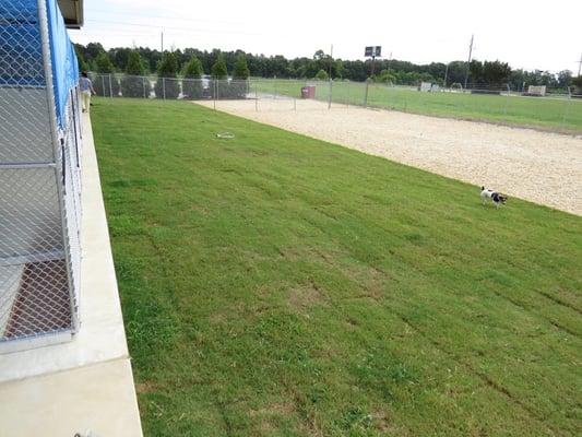 Outdoor play yard