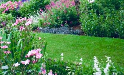 Flowering borders line a manicured lawn. Call us today for your large or small lawn, patio and garden projects