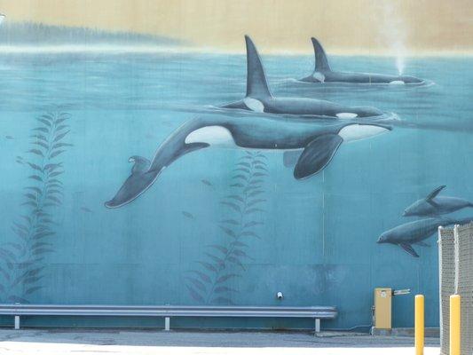 Orcas Passage #74 by the Wayland Foundation 1997